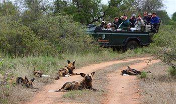 Motswari Private Game Reserve - Timbavati Klaserie Özel Doğa Koruma Alanı Dış mekan fotoğraf