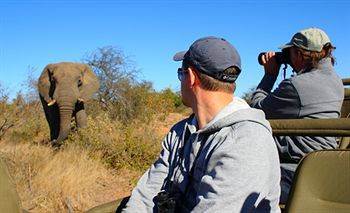 Motswari Private Game Reserve - Timbavati Klaserie Özel Doğa Koruma Alanı Dış mekan fotoğraf