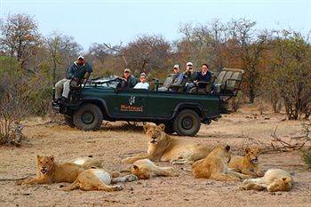 Motswari Private Game Reserve - Timbavati Klaserie Özel Doğa Koruma Alanı Dış mekan fotoğraf