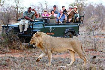Motswari Private Game Reserve - Timbavati Klaserie Özel Doğa Koruma Alanı Dış mekan fotoğraf