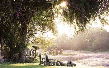 Motswari Private Game Reserve - Timbavati Klaserie Özel Doğa Koruma Alanı Dış mekan fotoğraf