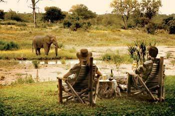Motswari Private Game Reserve - Timbavati Klaserie Özel Doğa Koruma Alanı Dış mekan fotoğraf